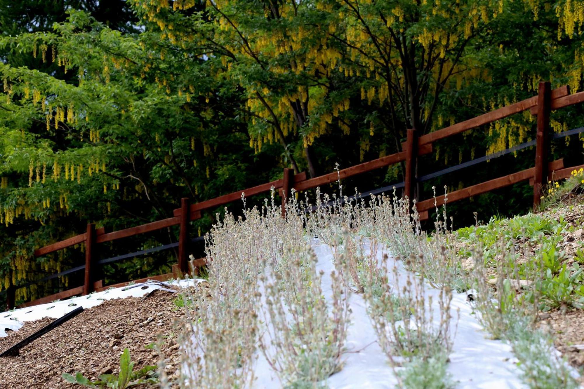 Agriturismo A Nostro Mizoun Ostana Exterior foto